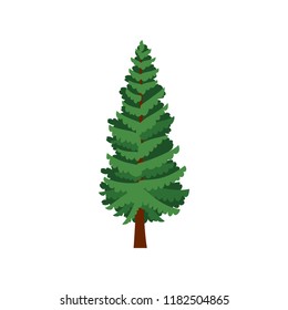 Norway Spruce Tree Isolated On White Stock Vector Royalty Free Shutterstock
