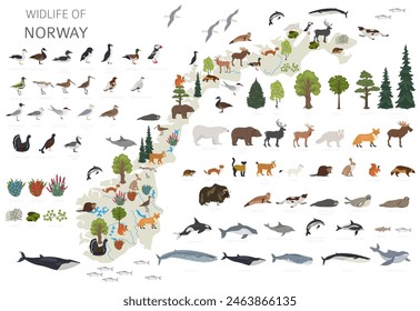 Norway wildlife geography. Animals, birds and plants constructor elements isolated on white set. Norwegian nature infographic. Vector illustration