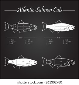 Norwegian Atlantic salmon cutting diagram illustration,on chalkboard