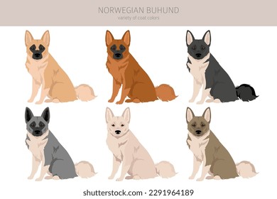 Clíparte noruega de Buhund. Postas diferentes, colores de abrigo.  Ilustración del vector