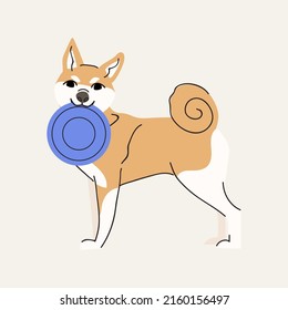 Norwegian Buhund Dog With Purple Frisbee. Isolated On Beige Background. Vector Flat Style Illustration