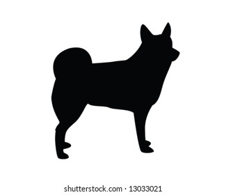 Norwegian Buhund Dog Vector Illustration