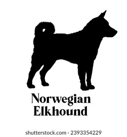 Norwegian Elkhound Dog silhouette dog breeds logo dog monogram logo dog face vector