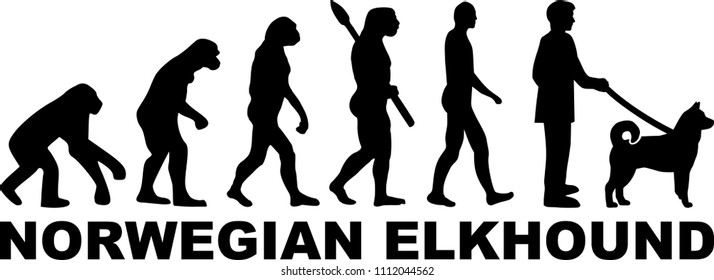 Norwegian Elkhound evolution with word in black 