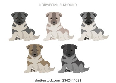 Norwegian elkhound puppies clipart. Different poses, coat colors set.  Vector illustration