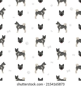 Norwegian elkhound seamless pattern. Different poses, coat colors set.  Vector illustration
