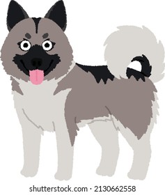 Norwegian Elkhounds are bred for hunting large game, such as wolf, bear and moose. Although the breed is strong and hardy.