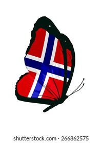 Norwegian flag butterfly - vector