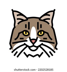 norwegian forest cat cute pet color icon vector. norwegian forest cat cute pet sign. isolated symbol illustration