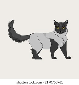 Norwegian forest cat isolated on beige background. Pet animal character vector flat illustration