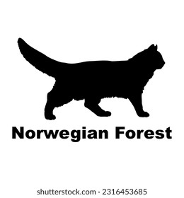 Norwegian Forest cat silhouette. Cat breeds vector. Pet. Animal