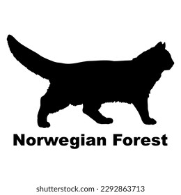 Norwegian Forest  cat silhouette, vector, cat breeds, pet, animals cat.