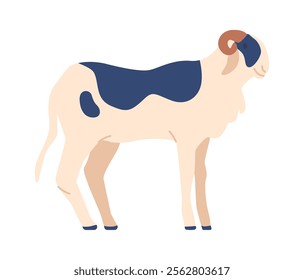 Norwegian fur sheep breed vector illustration