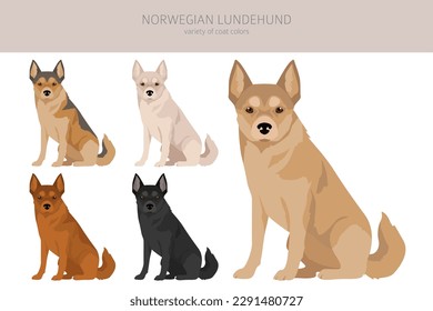 Clíparte noruega de Lundehund. Todos los colores del abrigo.; Todas las razas de perros tienen características infográficas. Ilustración del vector