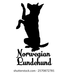 Norwegian Lundehund dog silhouette, dog breeds, logo, vector, silhouette,  animal, illustration, icon, sign, design, black, symbol, pet, love
