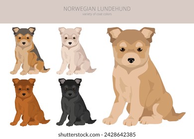 Clipart de cachorro Lundehund noruego. Conjunto de todos los colores del pelaje.; Todas las razas de perros características infografía. Ilustración de vector