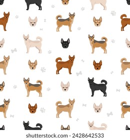 Noruego Lundehund sin patrón. Conjunto de todos los colores del pelaje.; Todas las razas de perros características infografía. Ilustración de vector