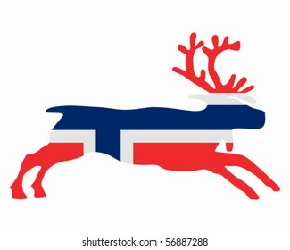 Norwegian reindeer