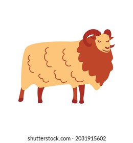 Norwegian Sheep with horns. Elegant fluffy herbivore. Colorful vector isolated illustration hand drawn. Farm animal, livestock