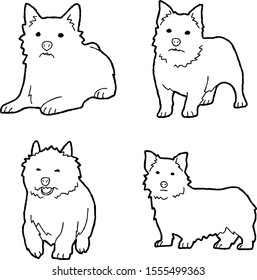 Norwich Terrier Animal Vector Illustration Hand Drawn Cartoon Art