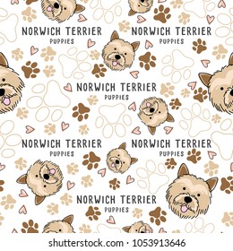 Norwich Terrier : Dog breed collection : Seamless Pattern : Vector Illustration