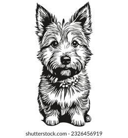 Norwich Terrier dog logo vector black and white, vintage cute dog head engraved sketch drawing