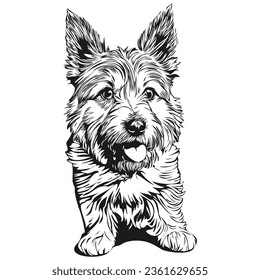 Norwich Terrier perro dibujo de lápiz realista en vector, ilustración de arte de línea de cara de perro mascota realista de raza negra y blanca