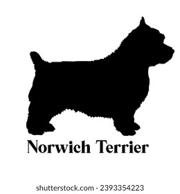 Norwich Terrier Dog silhouette dog breeds logo dog monogram logo dog face vector