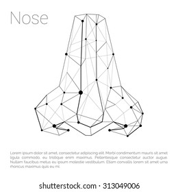 Nose Carcass Polygonal Geometric Part of Body