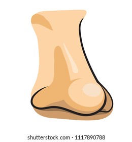 Nose cartoon illustration. ( vector )