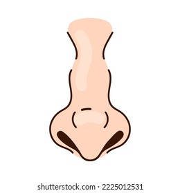 Nose of Caucasian person with pointy tip cartoon illustration. Nose of white person, part of male or female face on white background. Rhinoplasty, anatomy, surgery, breathing, medicine concept