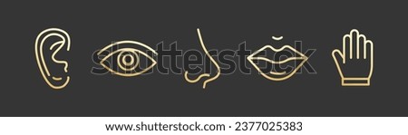 Nose, ear, eye, hand, lips gold icon set. 5 seanse line symbols. Human body parts for hearing, listen, tasting, touching. Vector