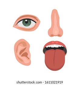 Nose, ear, eye, throat or mouth -parts of a human face. ENT doctor, otolaryngologist and optometrist. Educational anatomy. Flat vector illustration isolated on white background.