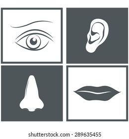 Nose, eye, mouth and ear pictograms - vector