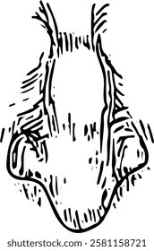 Nose Face part. Hand drawn vector isolated  sketch 