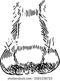 Nose Face part. Hand drawn vector isolated  sketch 