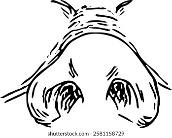 Nose Face part. Hand drawn vector isolated  sketch 