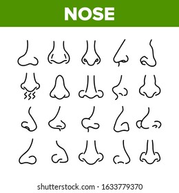 Nose Human Face Organ Collection Icons Set Vector Thin Line. Nose Anatomy Body Part In Different Form, Allergic Sick Nasal Concept Linear Pictograms. Monochrome Contour Illustrations