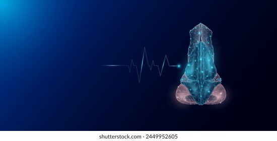 Nariz anatomía de órganos humanos en forma de polígono bajo poli futurista y onda de pulso brillante. Anuncio de Plantilla de ciencias médicas con espacio vacío para texto. Ilustración del EPS10 del Vector.