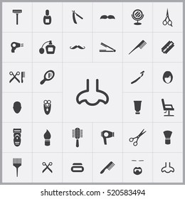 nose icon. barbershop icons universal set for web and mobile