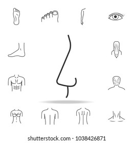 nose icon. Detailed set of human body part icons. Premium quality graphic design. One of the collection icons for websites, web design, mobile app on white background