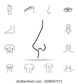 nose icon. Detailed set of human body part icons. Premium quality graphic design. One of the collection icons for websites, web design, mobile app on white background