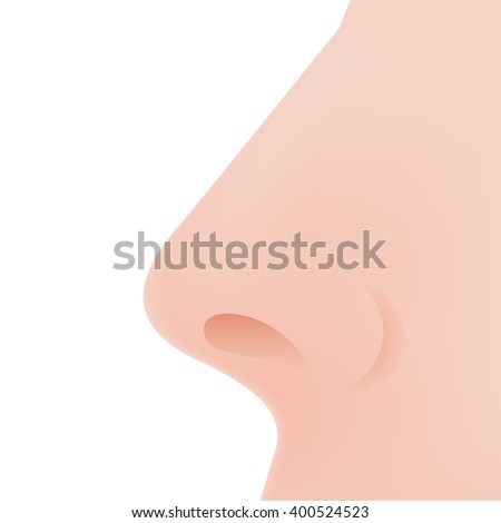 Nose Icon in Flat Design on White Background
