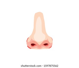 nose illustration, vector, white background
