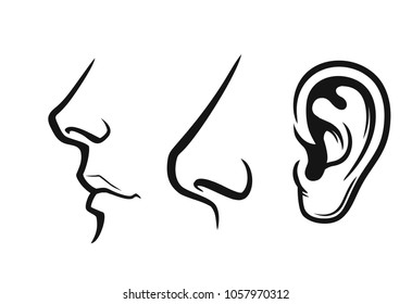 Nose, mouth, ear black on white background Vector