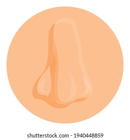 Nose organ icon. Cartoon of nose organ vector icon for web design isolated on white background