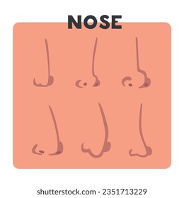 Nose as Part of Human Face Vector Set