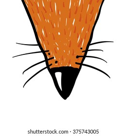 nose of red fox