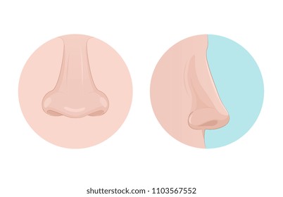 Nose side view and front view. Human organ of perception of smell.