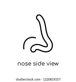 Nose Side View icon. Trendy modern flat linear vector Nose Side View icon on white background from thin line Human Body Parts collection, editable outline stroke vector illustration